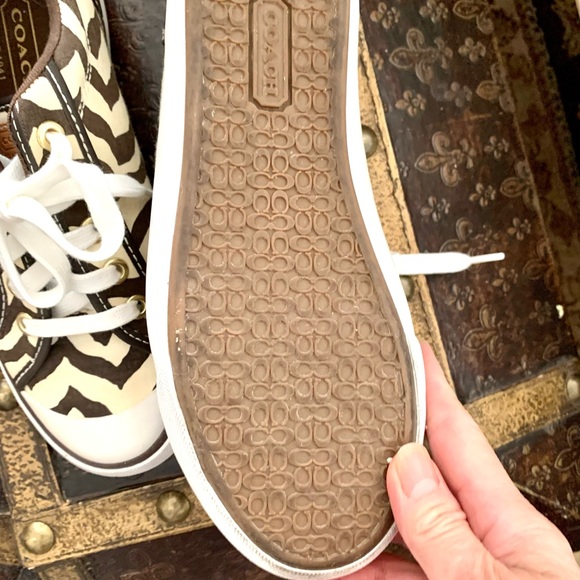 COACH Sneakers - Picture 6 of 9